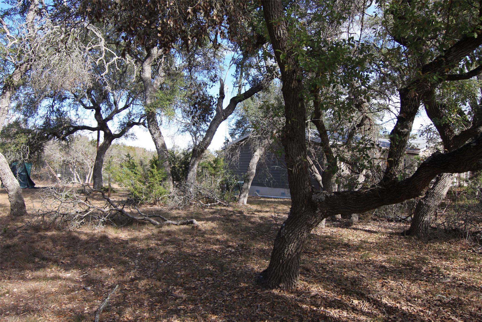 Photo 32