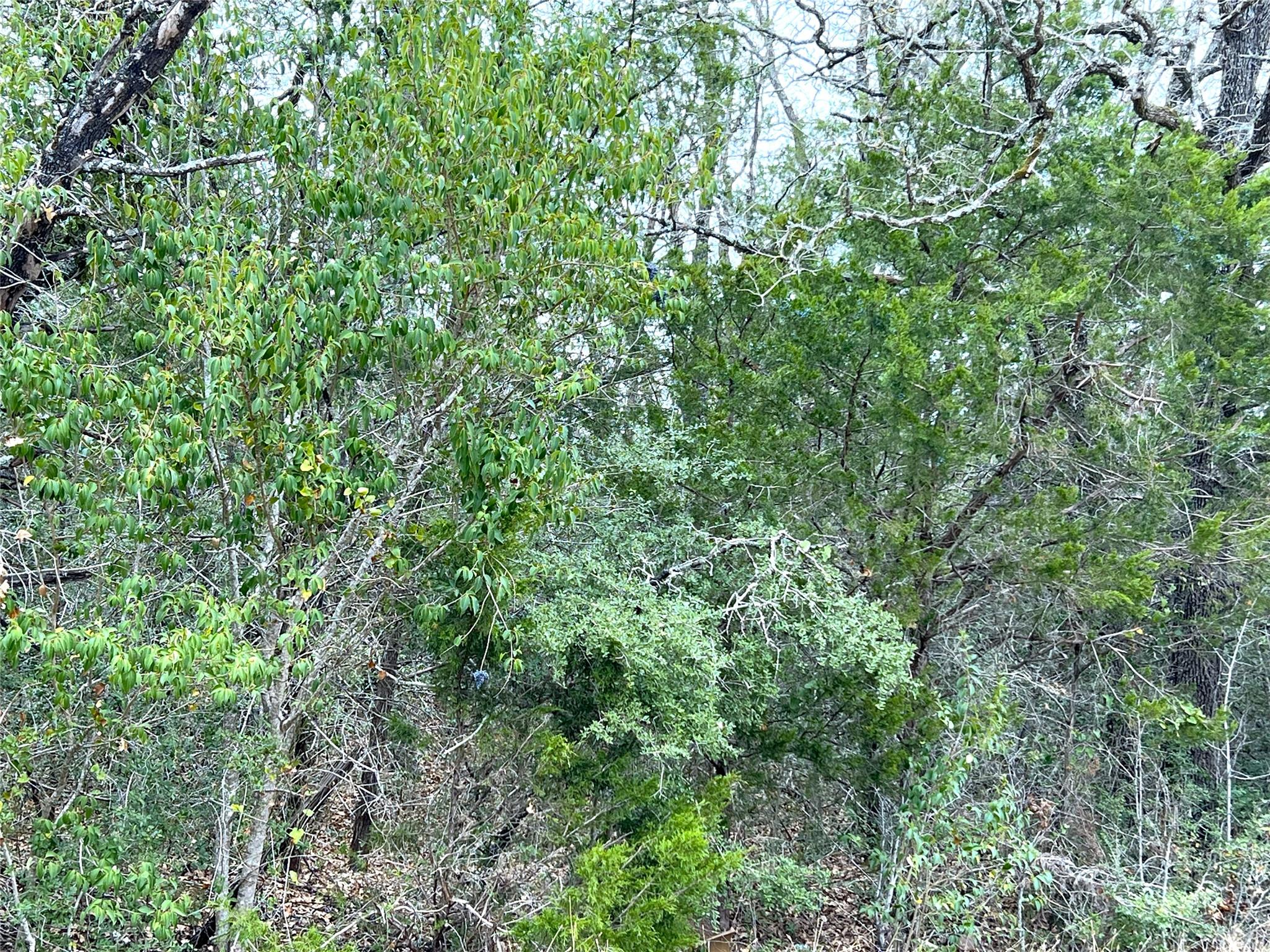 Photo 30