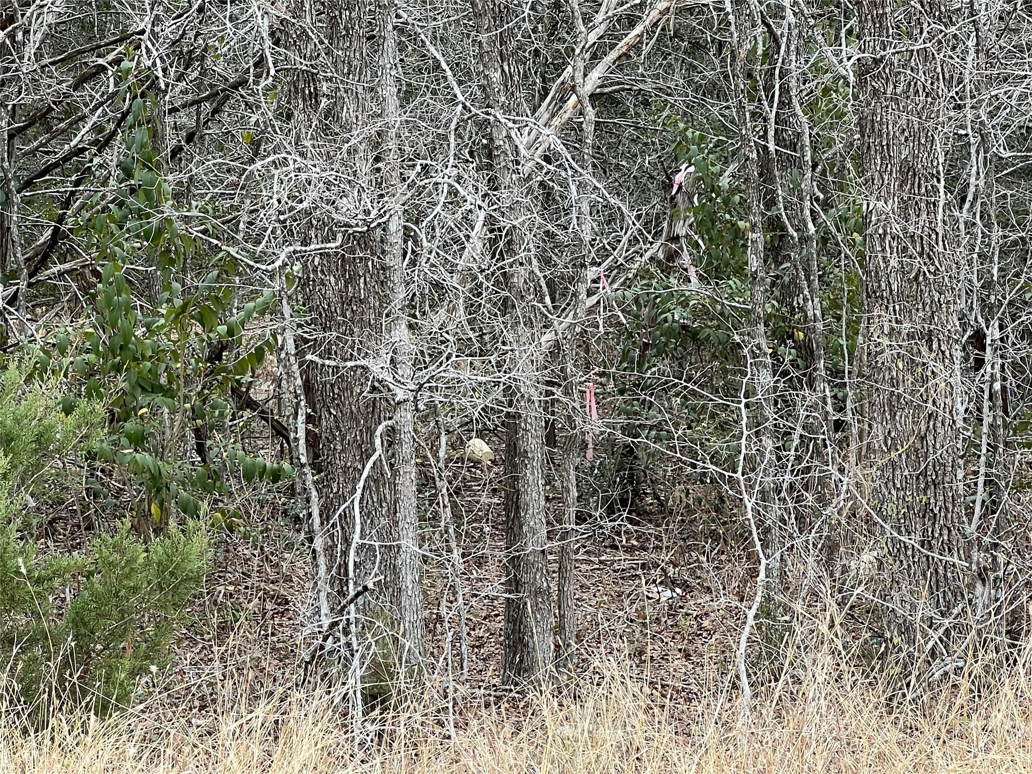 Photo 32