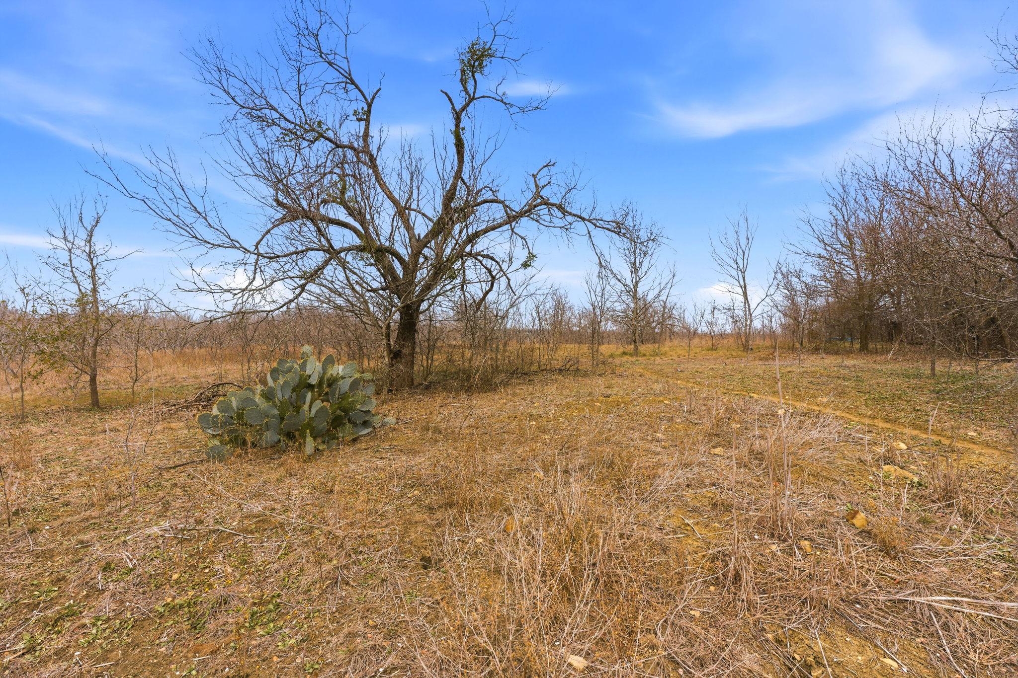Photo 35