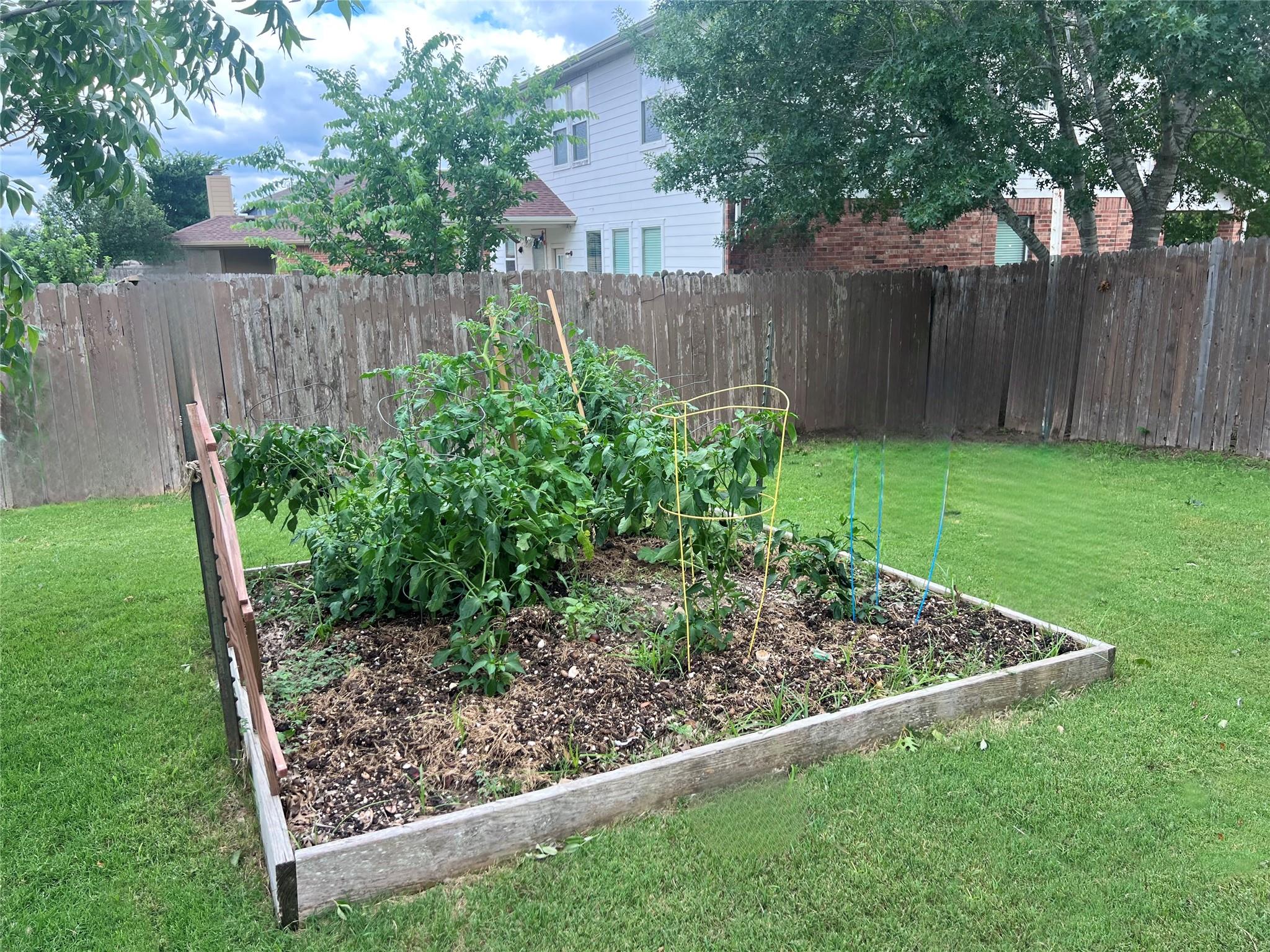 Photo 31