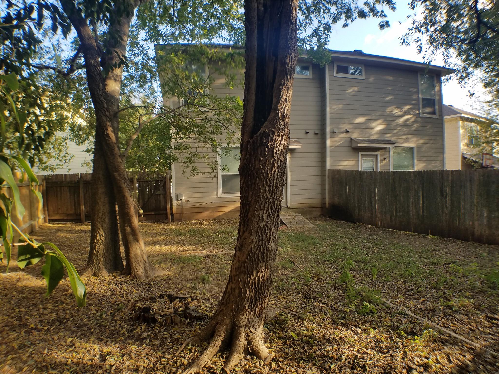 Photo 28