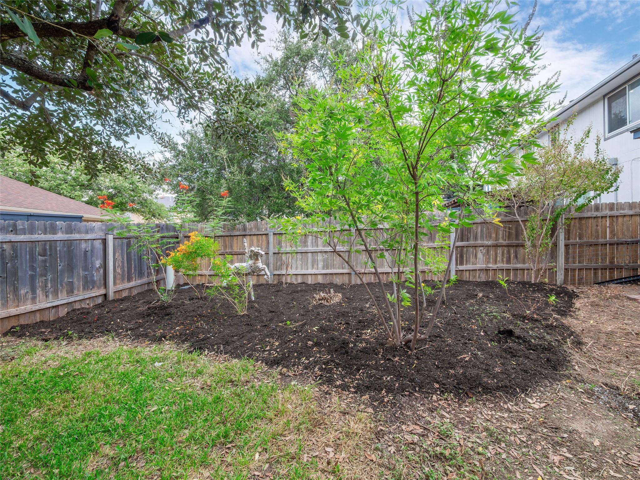 Photo 31