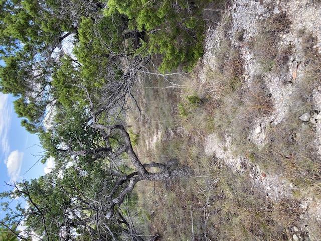 Photo 34
