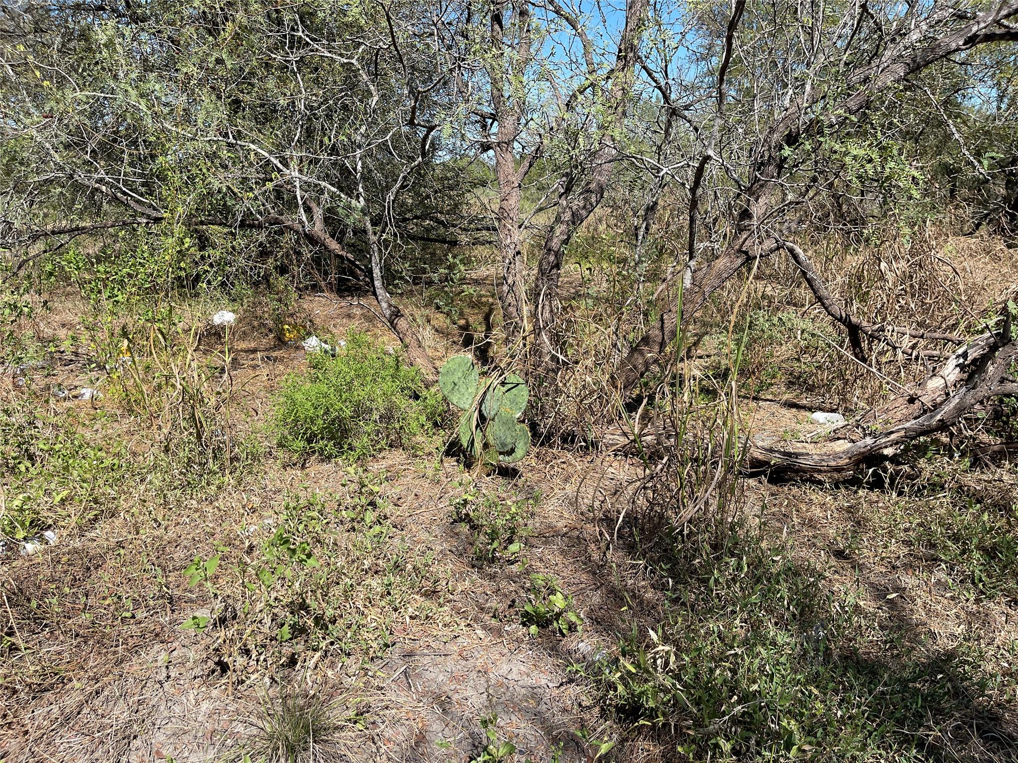 Photo 27