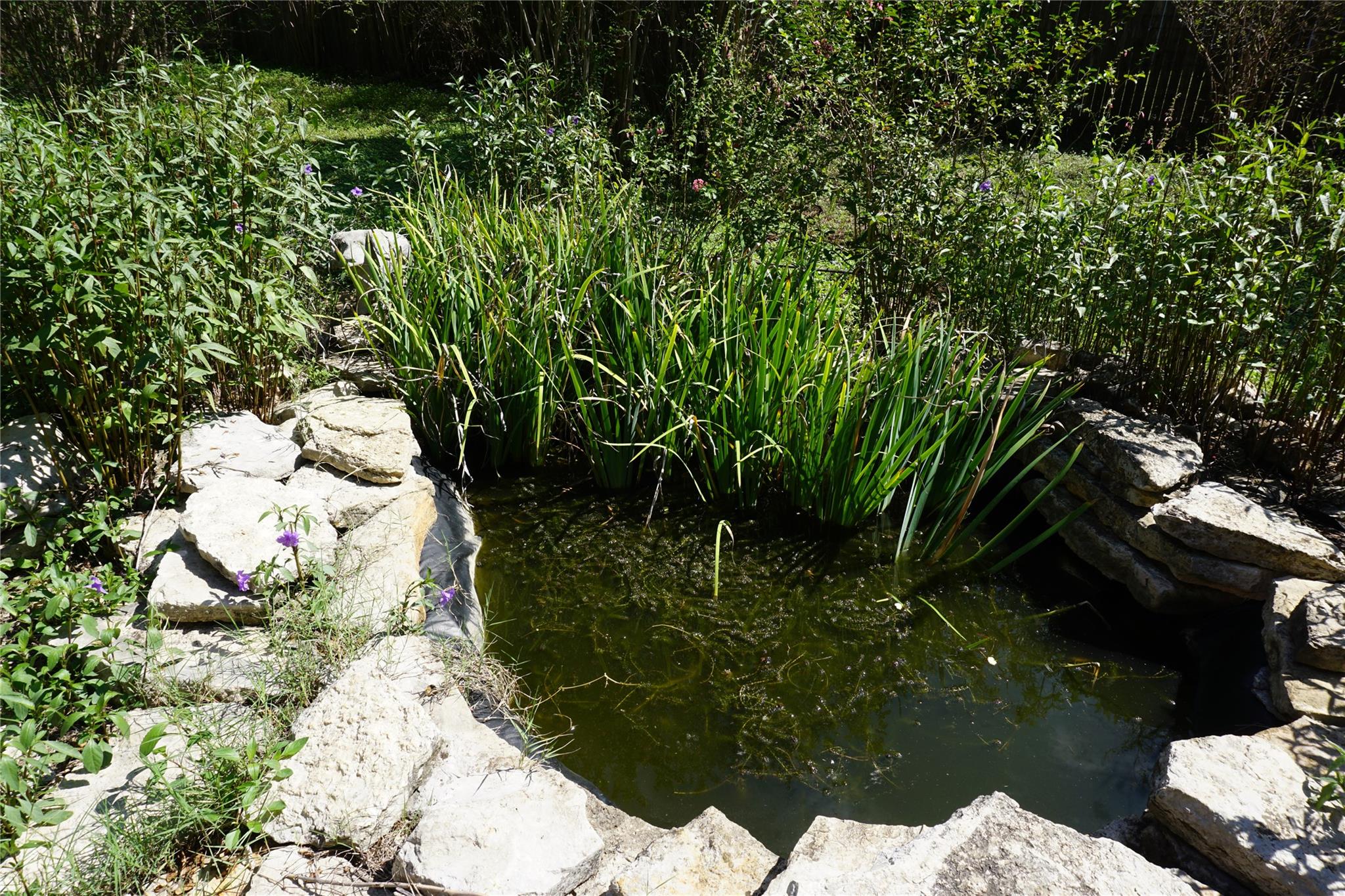 Photo 28