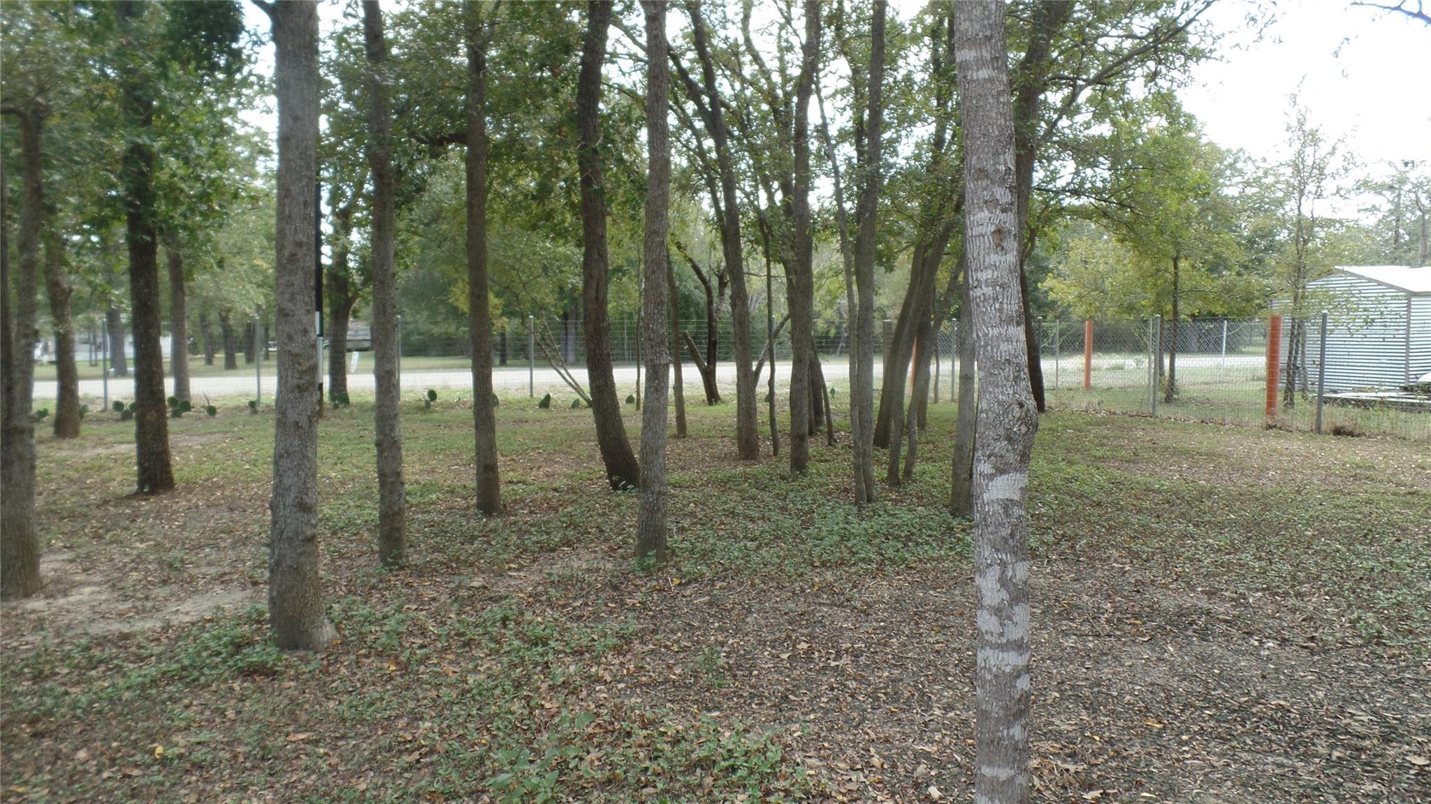 Photo 25