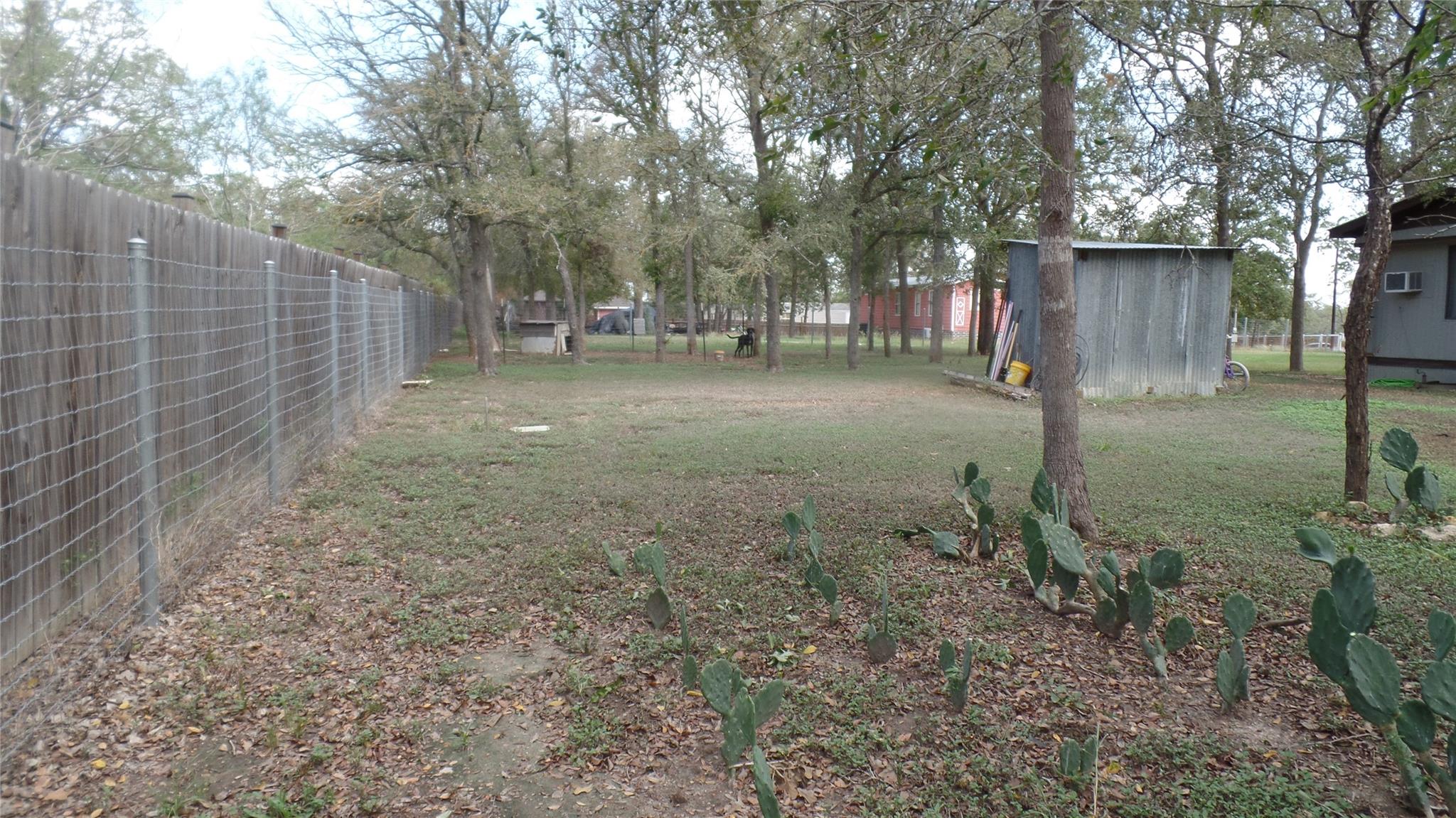 Photo 28