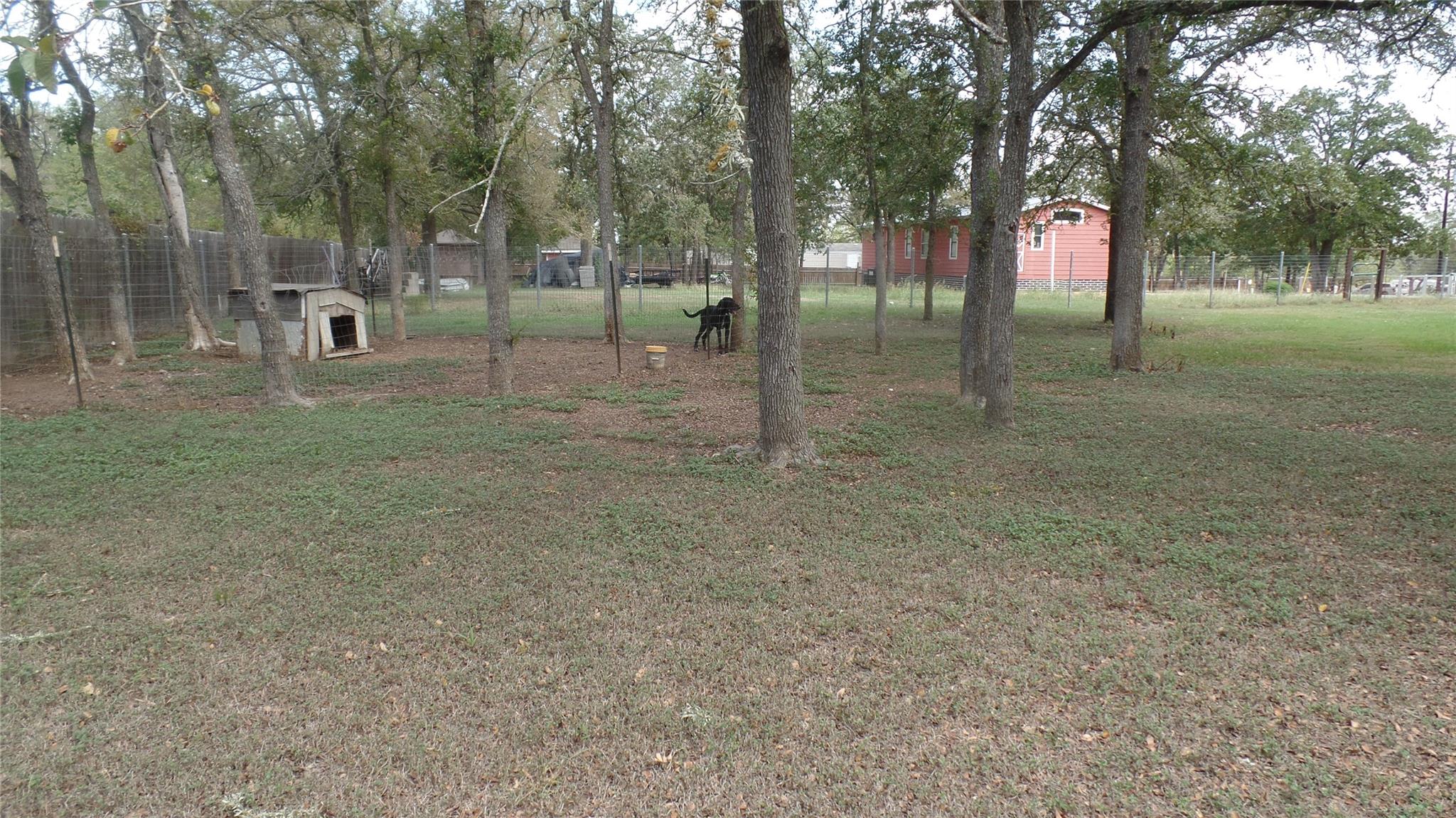 Photo 31