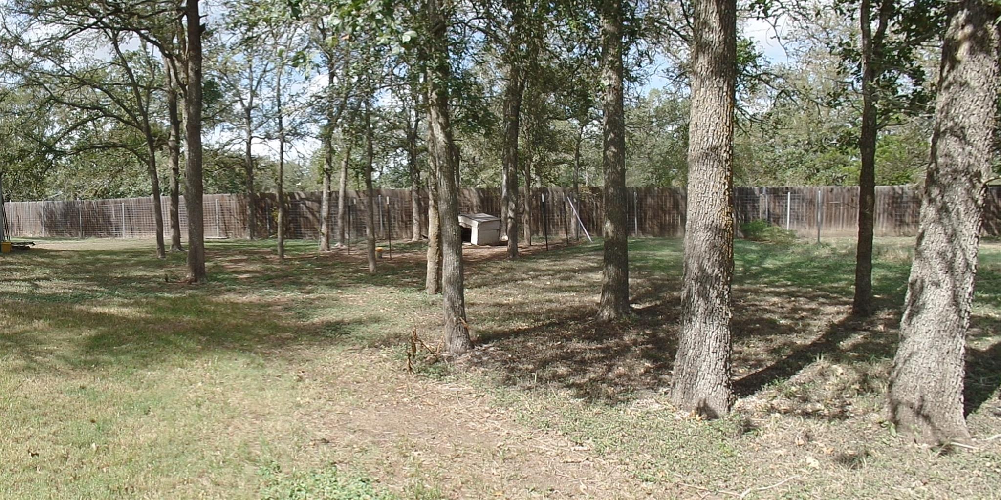 Photo 35
