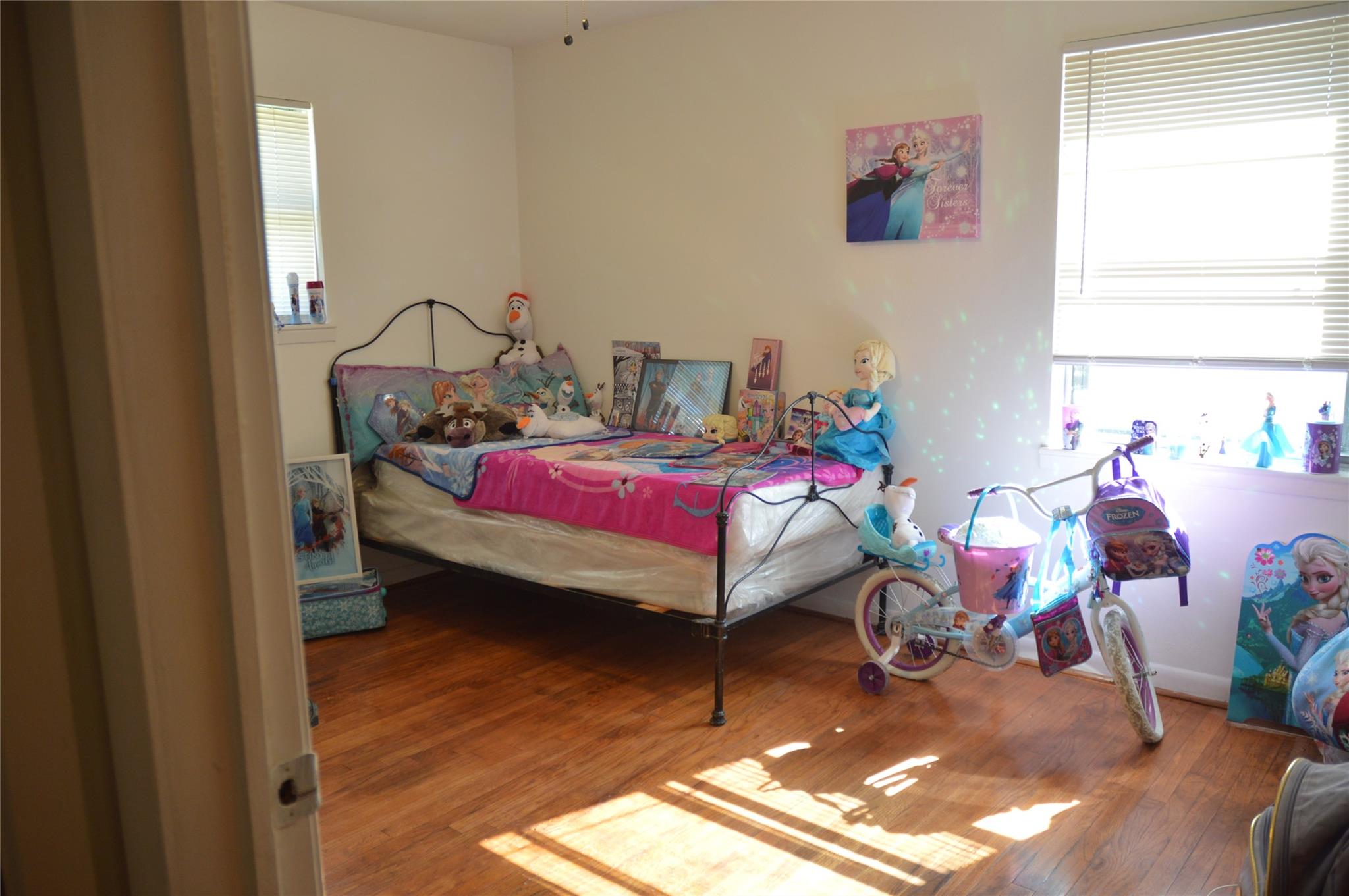 Photo 5